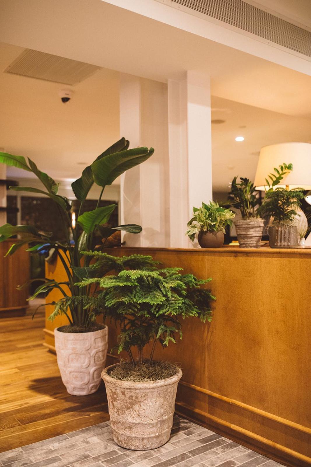 Hotel Emeline Charleston Bagian luar foto