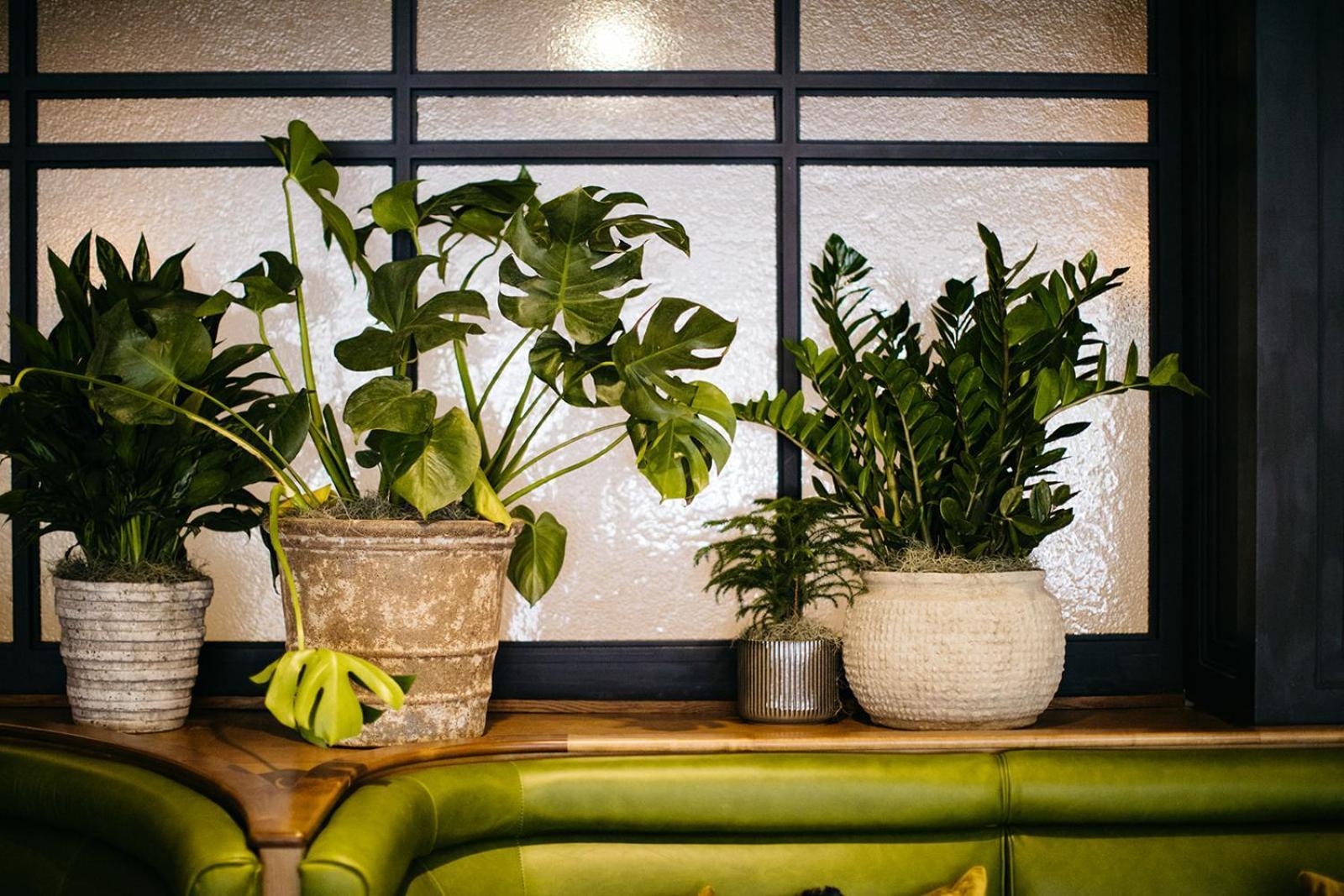 Hotel Emeline Charleston Bagian luar foto